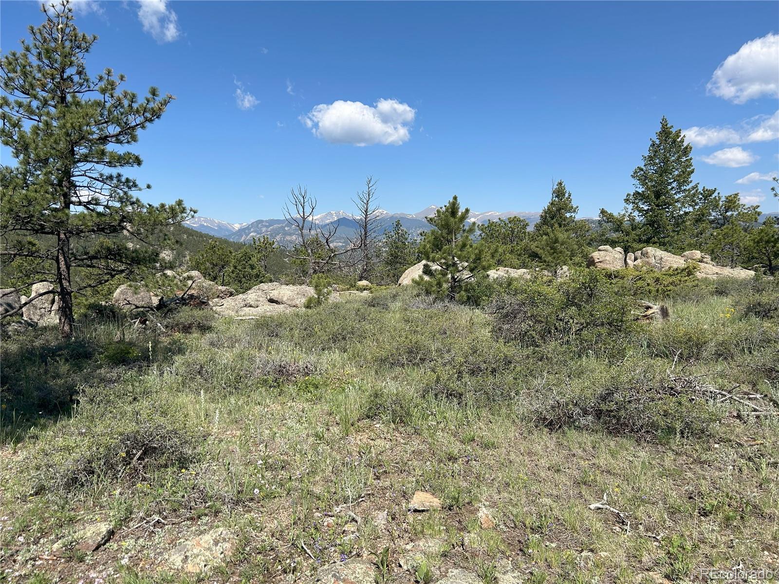 591599 Soul Shine Road Drake CO 80515