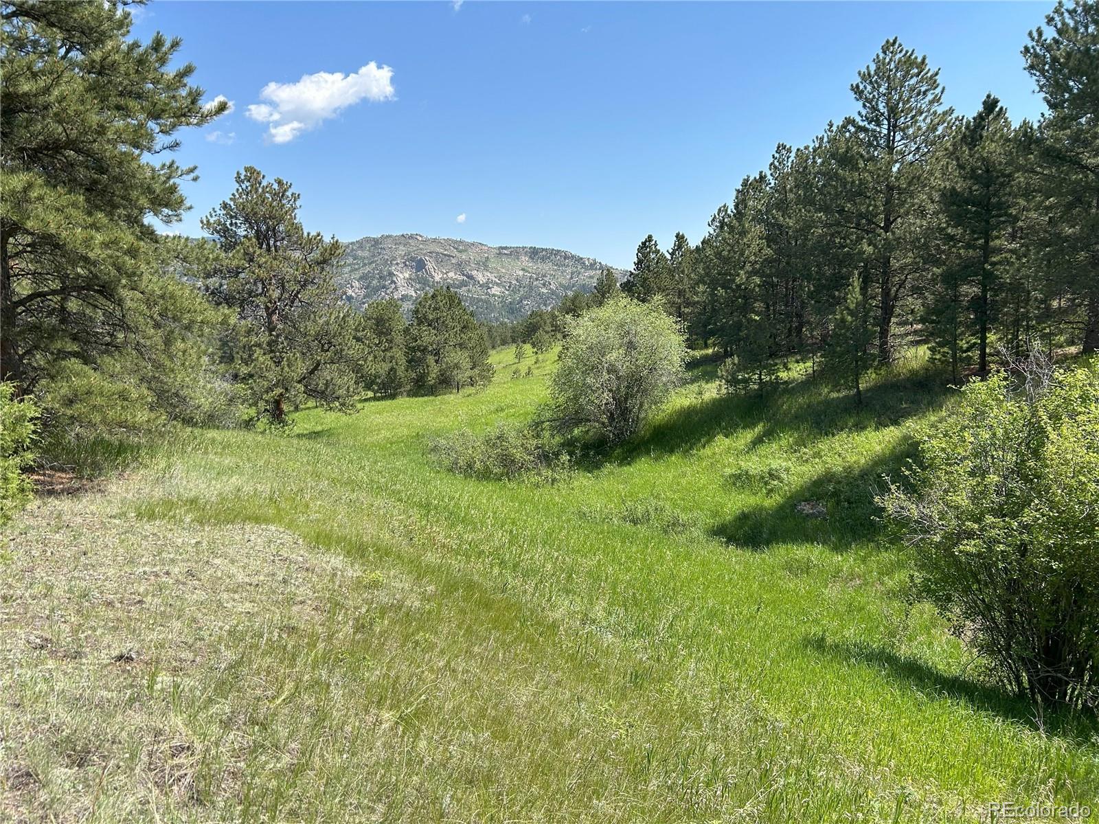 591599 Soul Shine Road Drake CO 80515