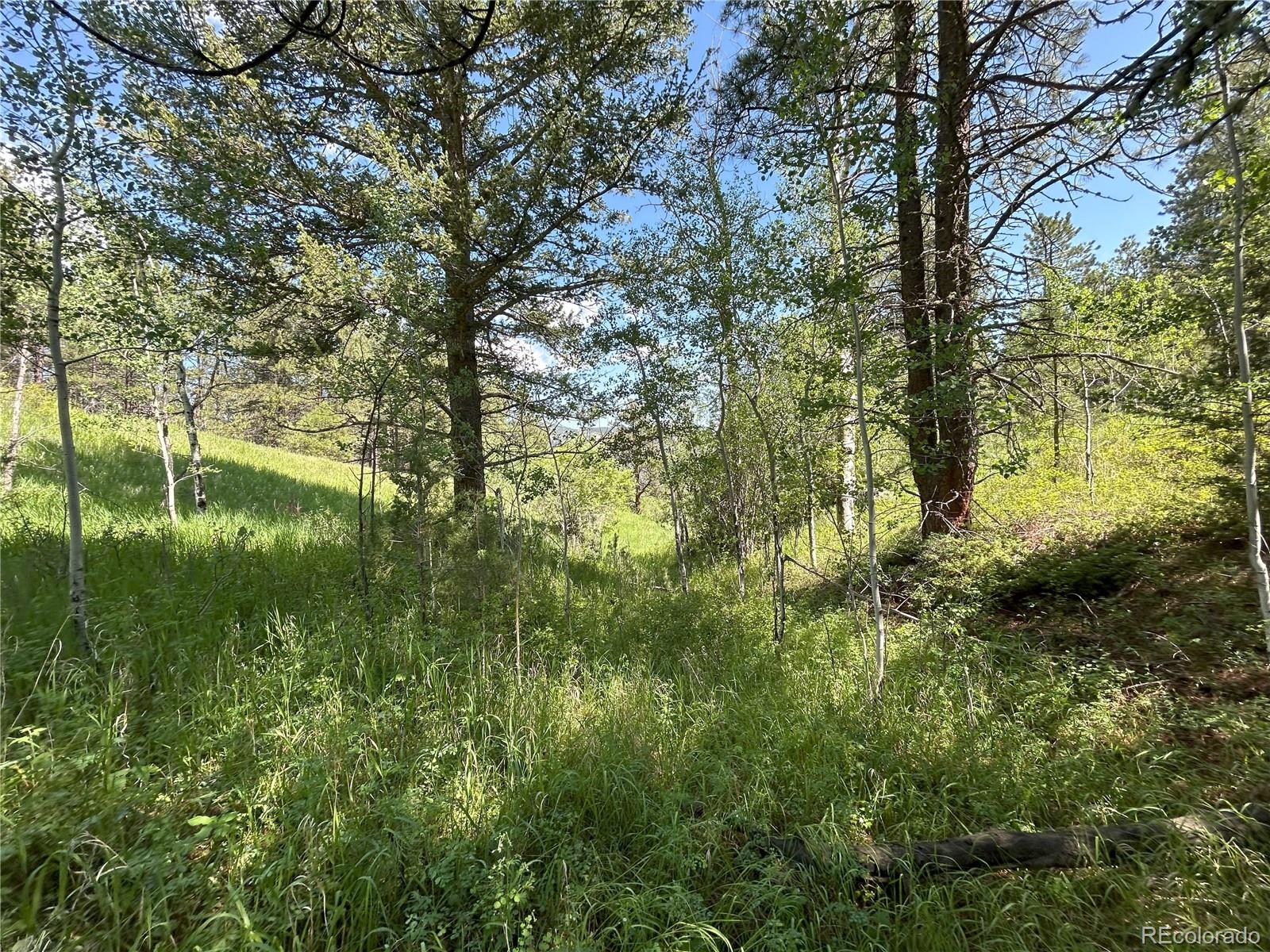 591599 Soul Shine Road Drake CO 80515
