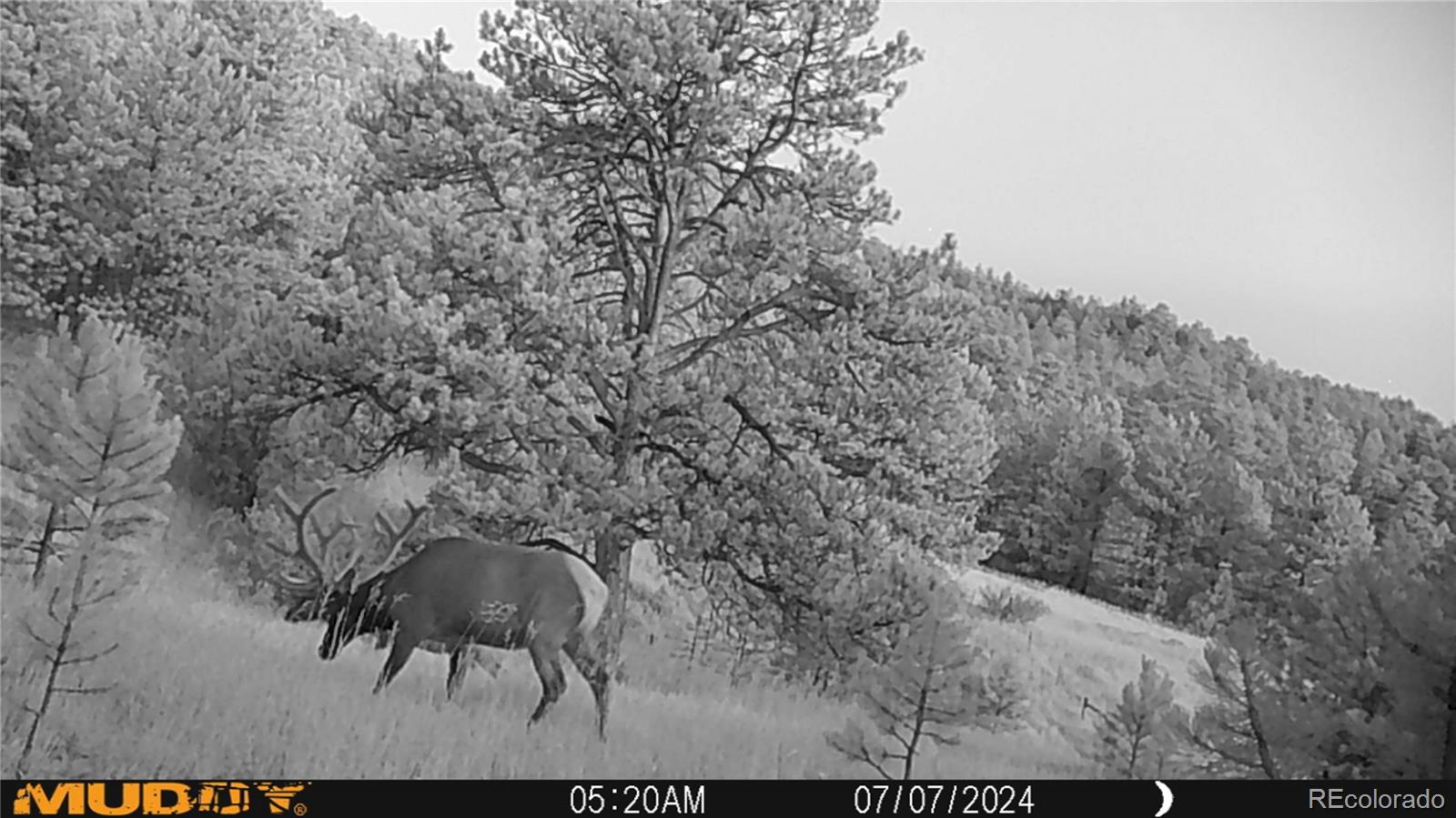 591599 Soul Shine Road Drake CO 80515