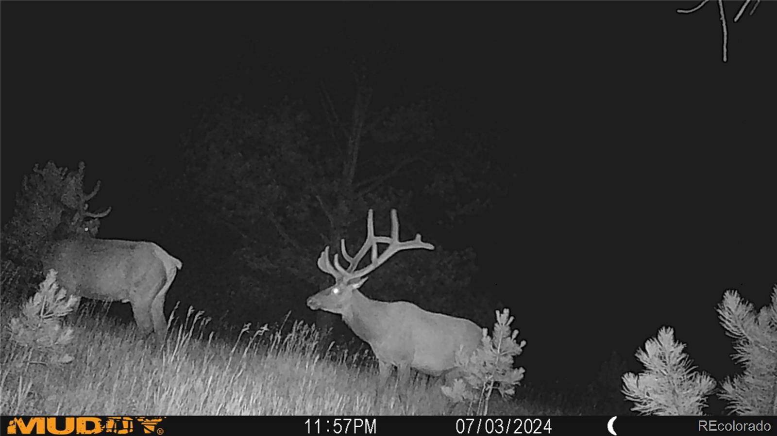 591599 Soul Shine Road Drake CO 80515