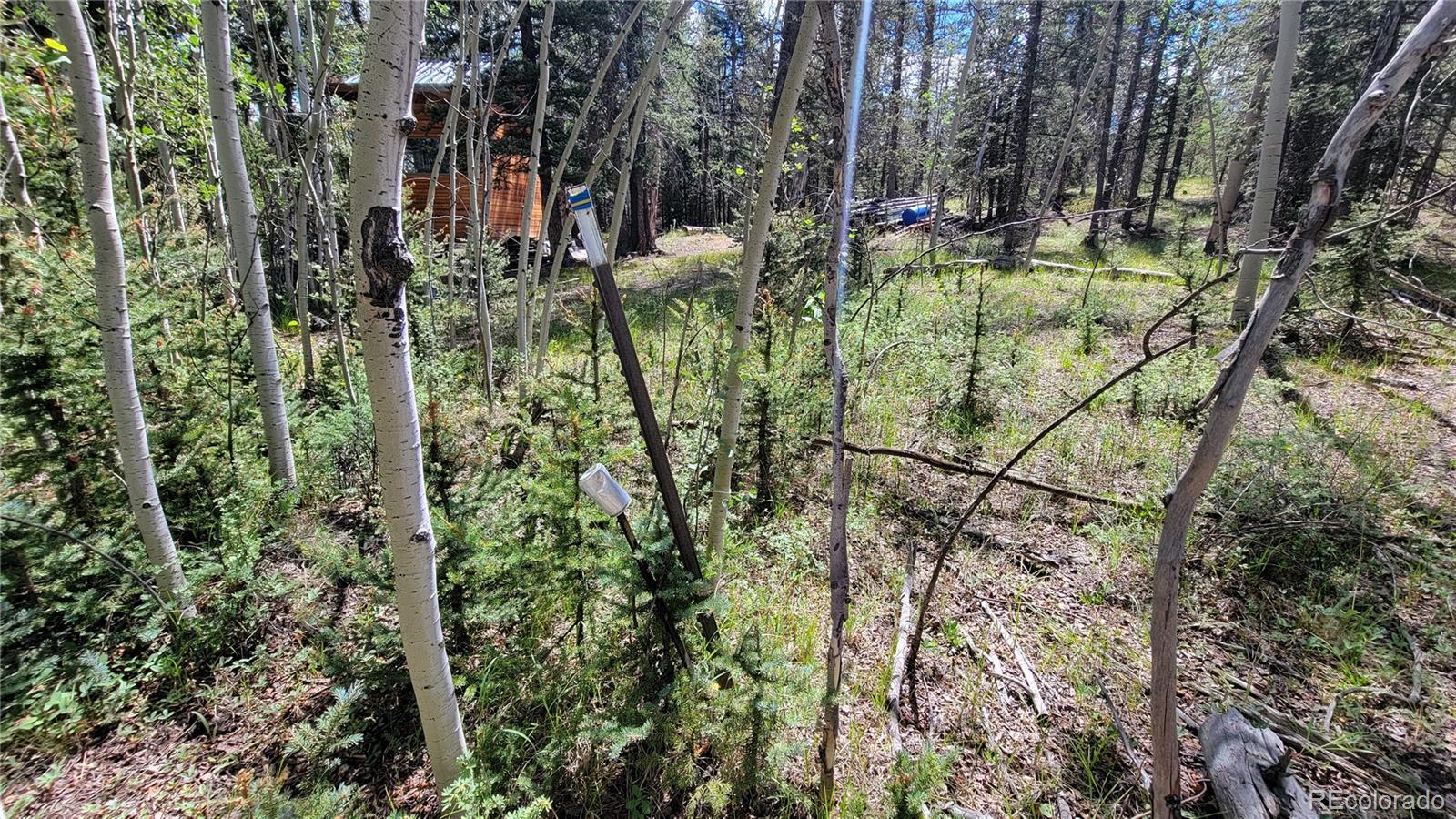 943 Bear Lane Jefferson CO 80456