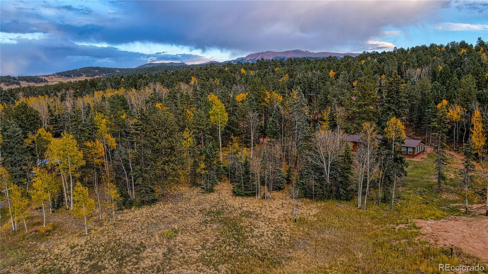 166 Denwood Drive Florissant CO 80816