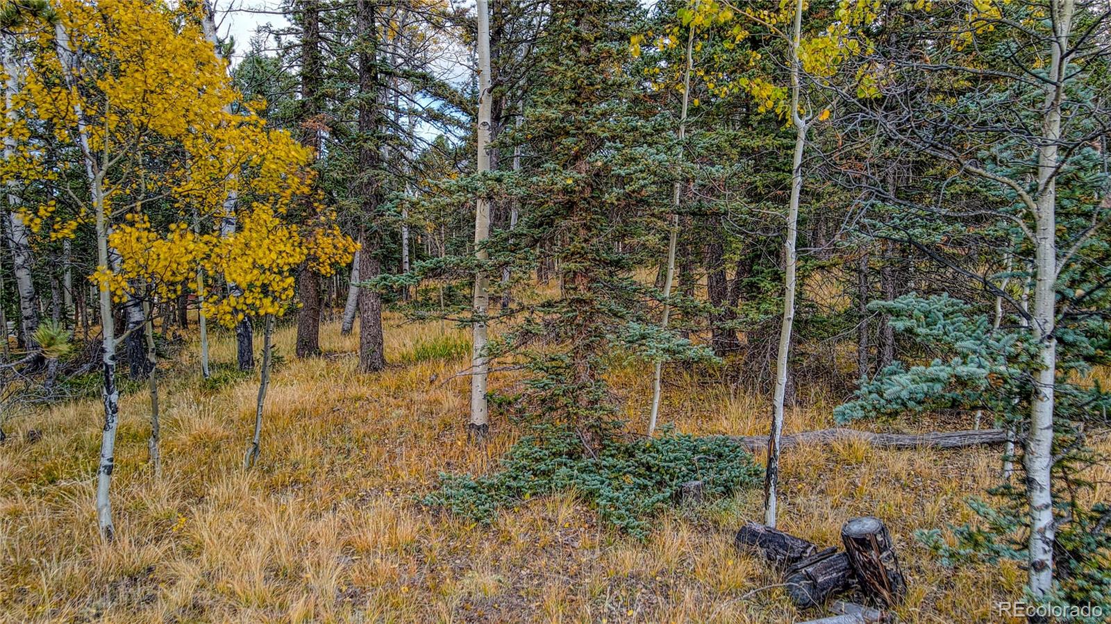 166 Denwood Drive Florissant CO 80816