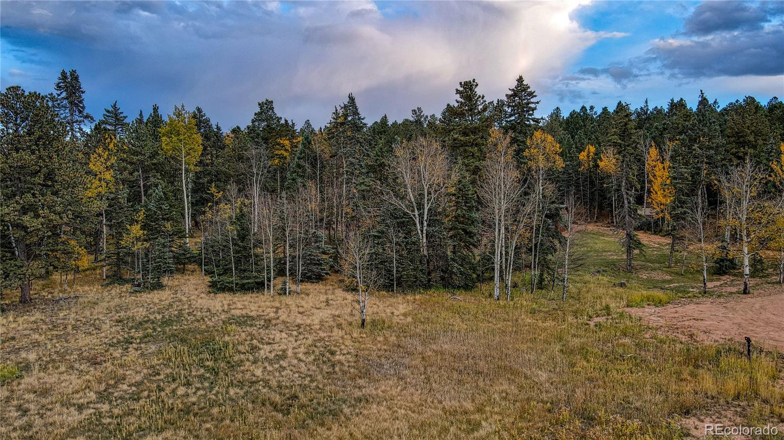166 Denwood Drive Florissant CO 80816