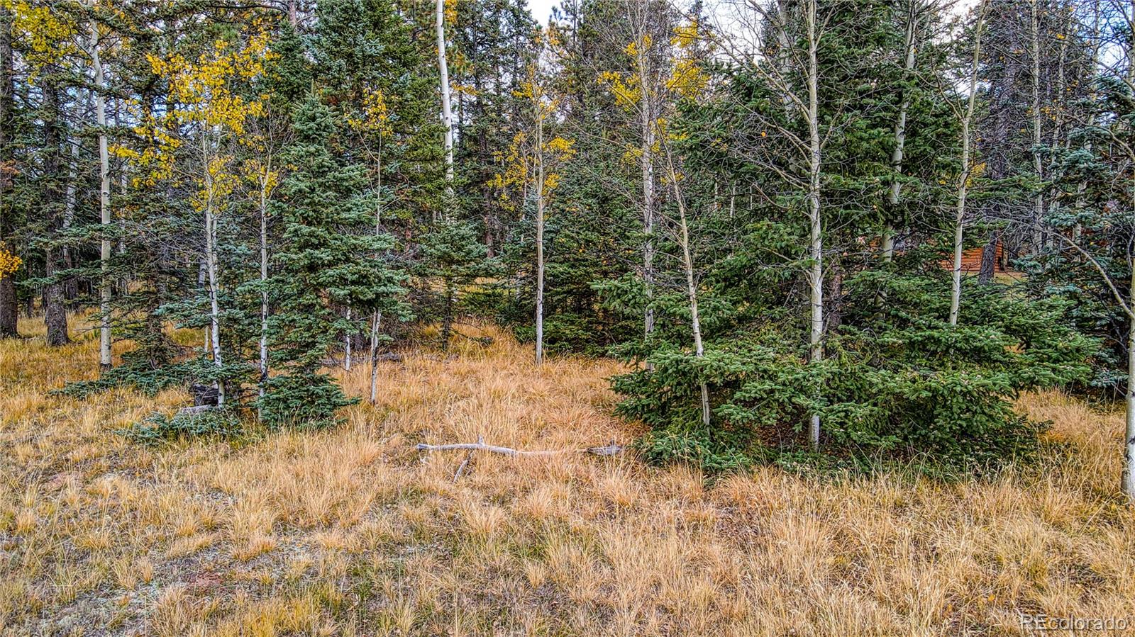 166 Denwood Drive Florissant CO 80816