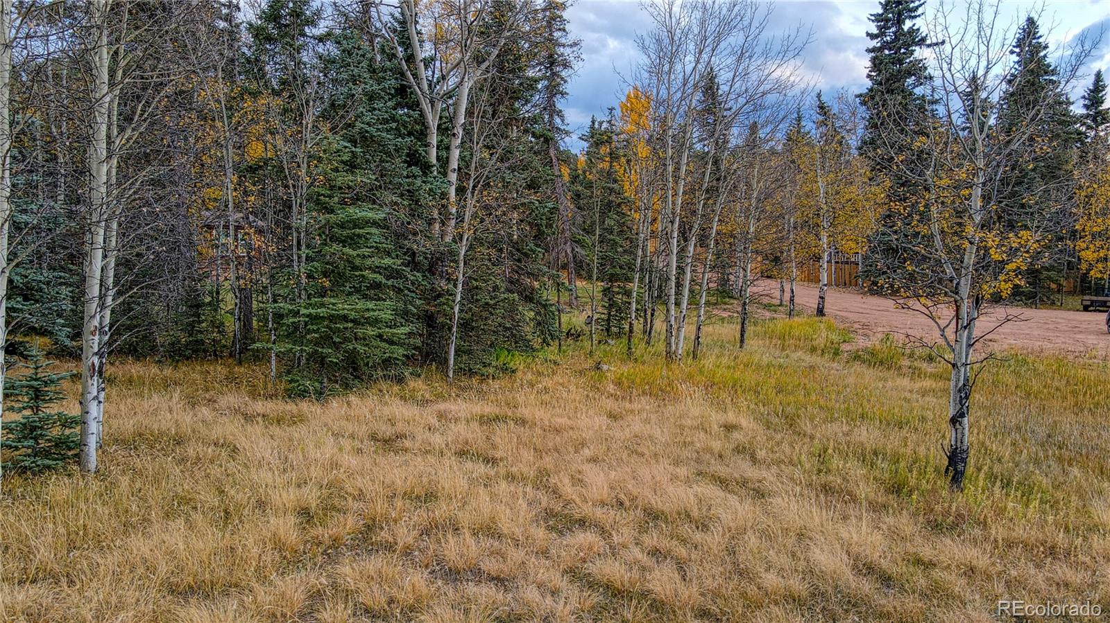 166 Denwood Drive Florissant CO 80816