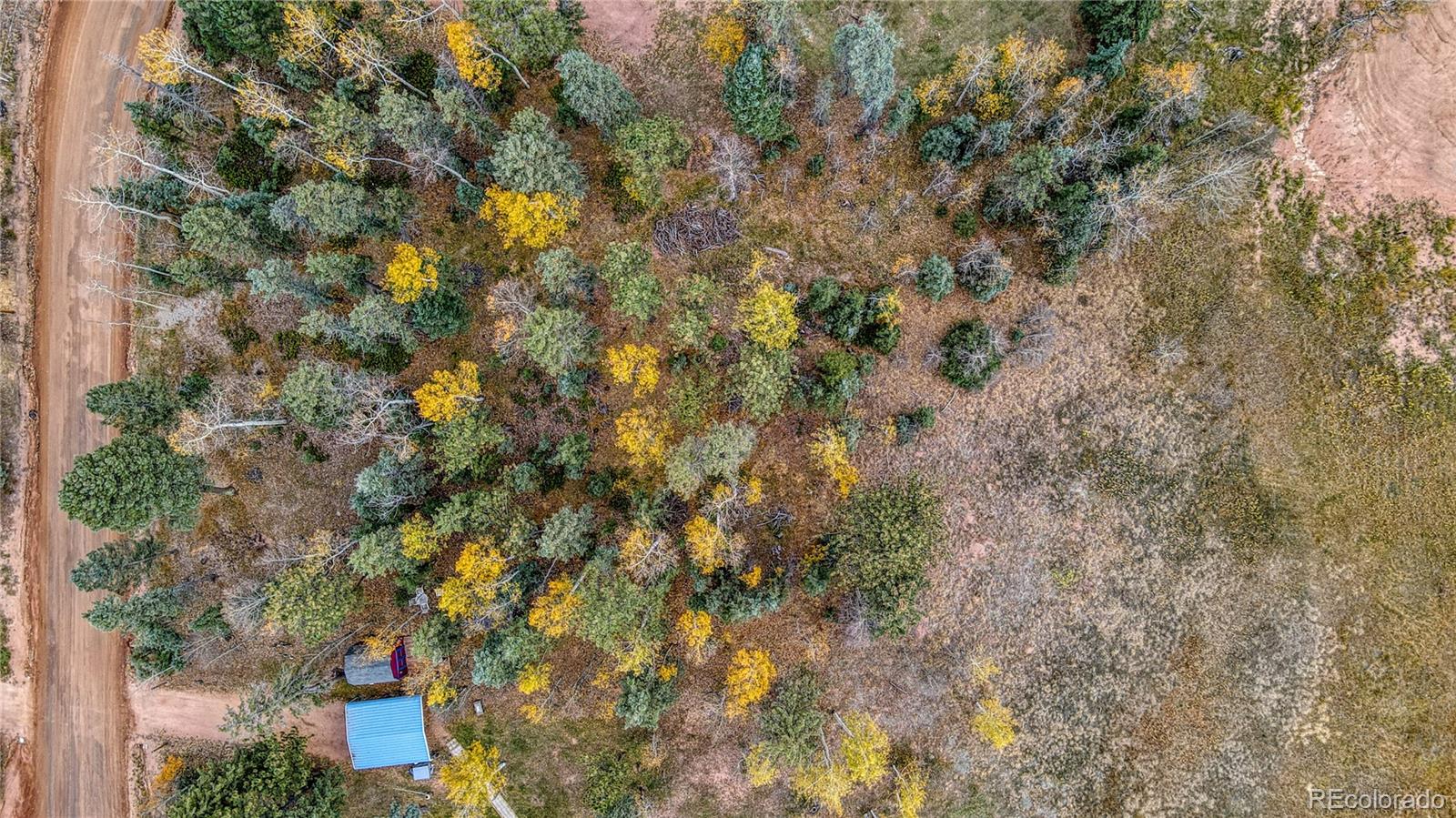 166 Denwood Drive Florissant CO 80816