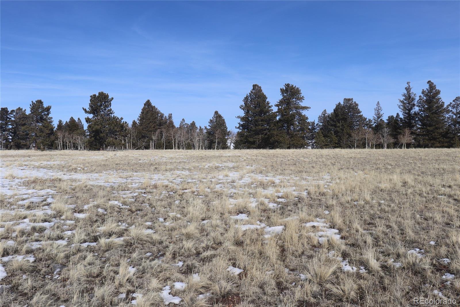 96 Baler Court Hartsel CO 80449