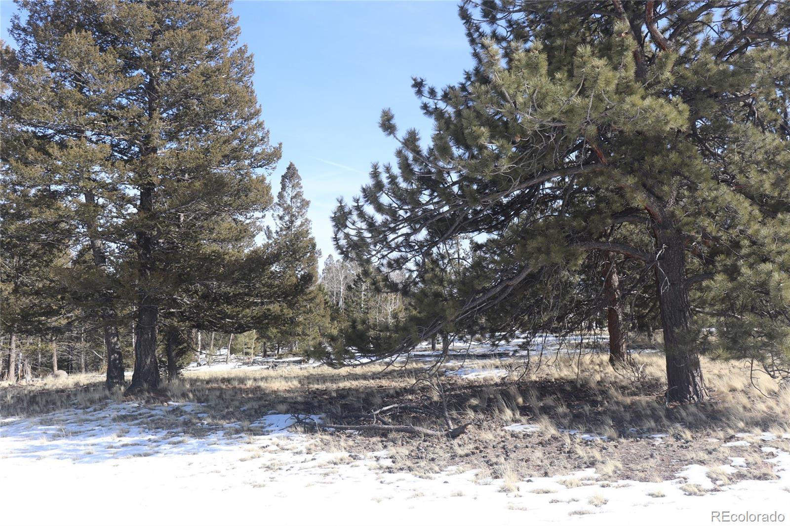 96 Baler Court Hartsel CO 80449