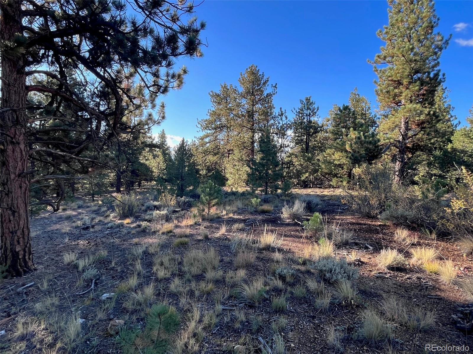14710 Quartz Circle Salida CO 81201