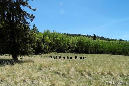 2354 Benton Place Fort Garland CO 81133