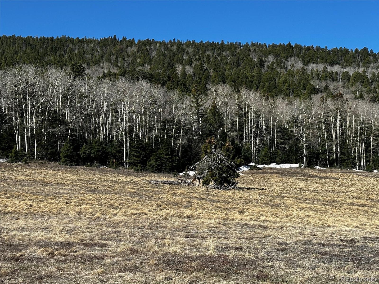2354 Benton Place Fort Garland CO 81133