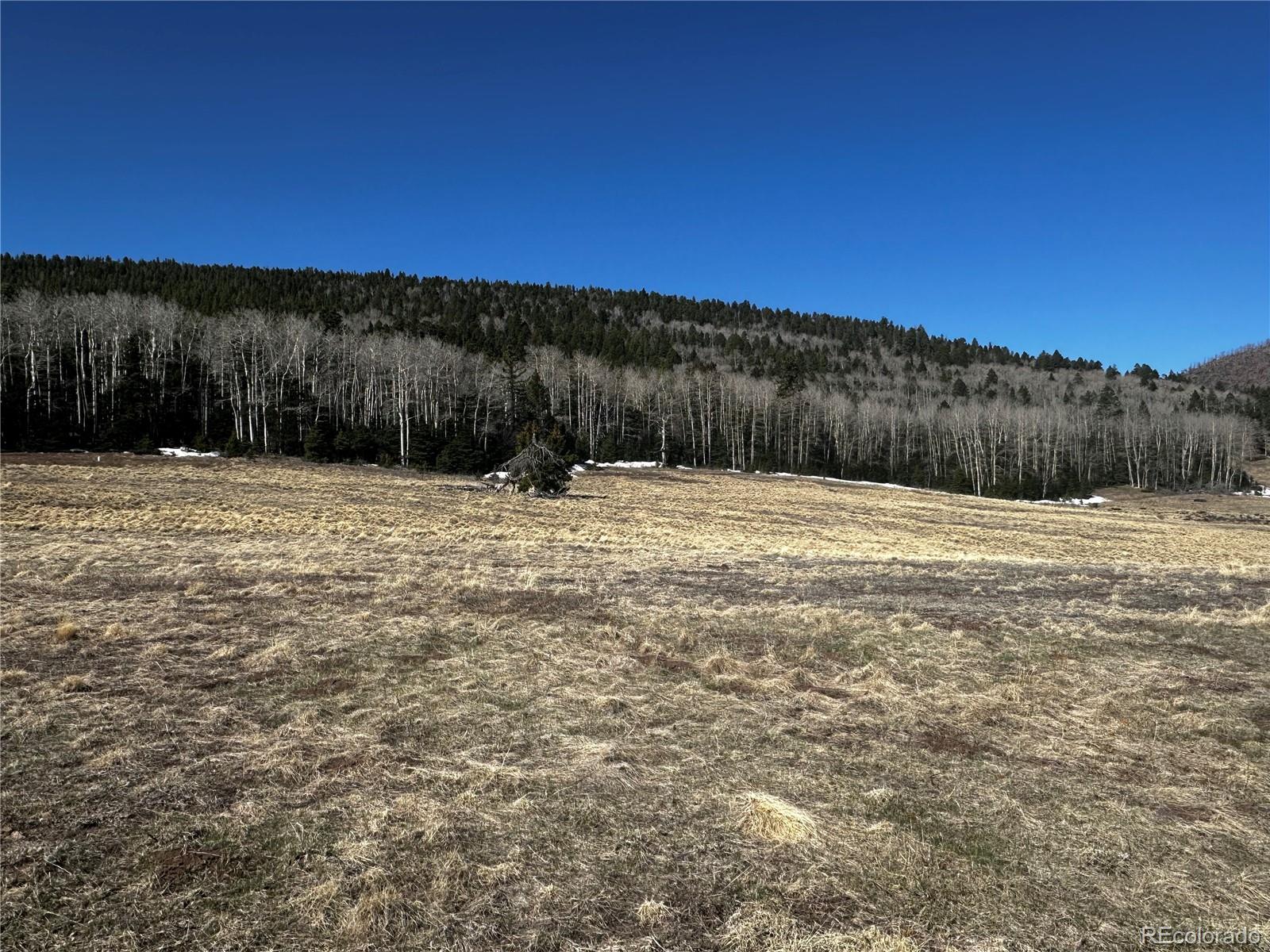 2354 Benton Place Fort Garland CO 81133
