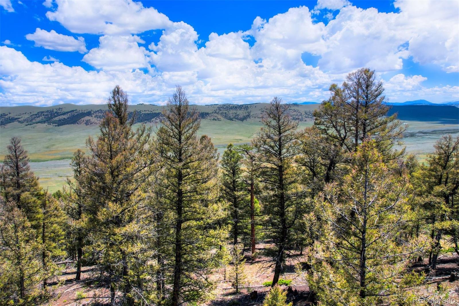 Lot 262 Middle Fork Vista Fairplay CO 80440