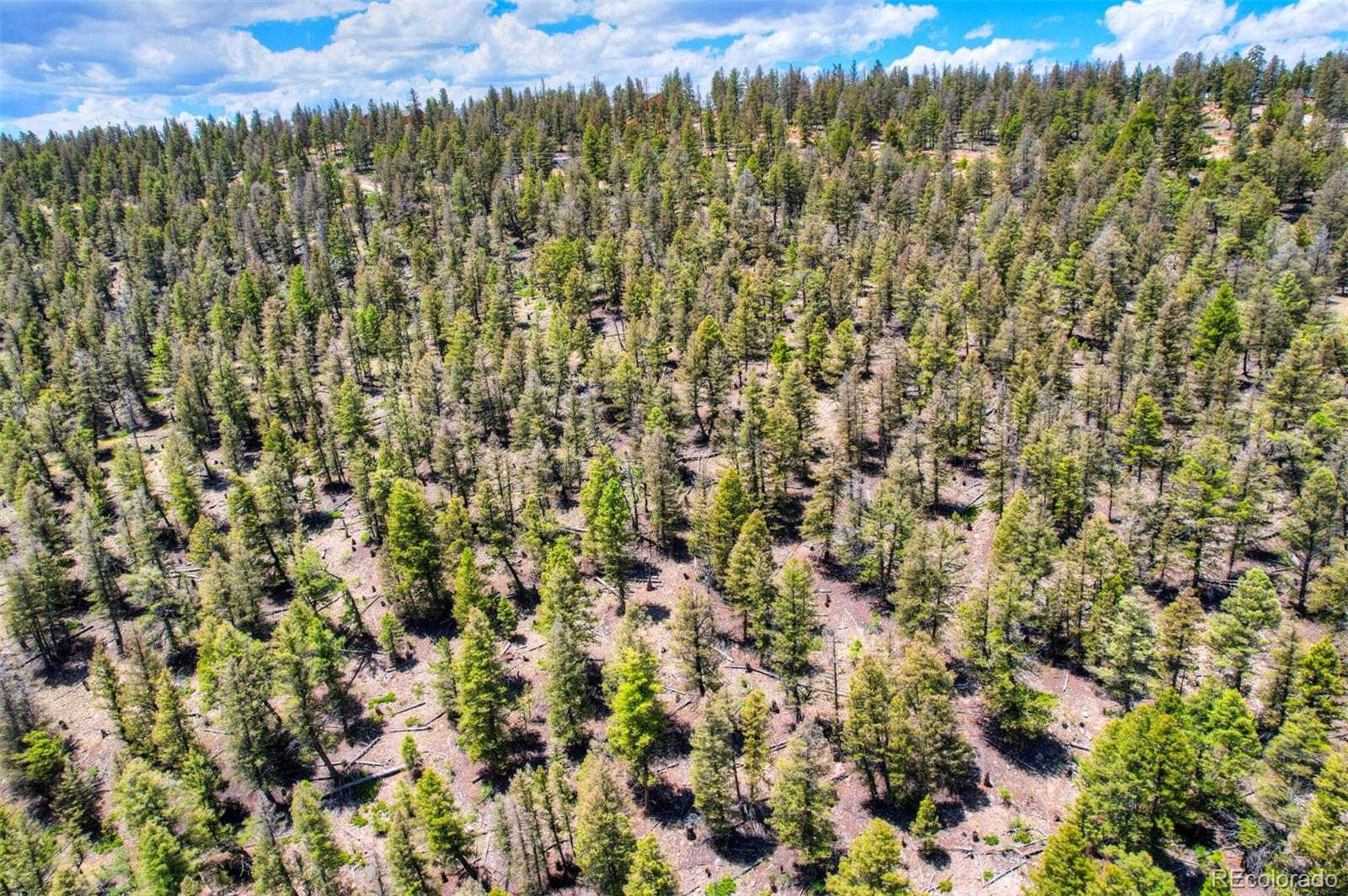 Lot 262 Middle Fork Vista Fairplay CO 80440