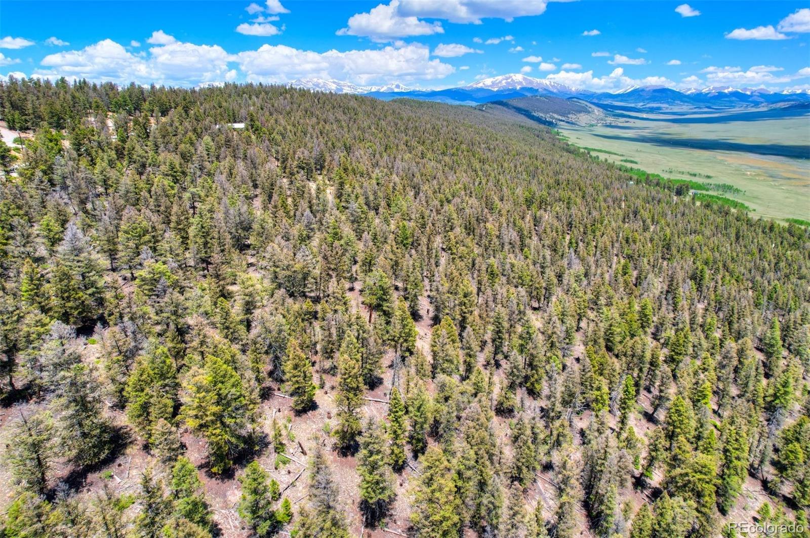 Lot 262 Middle Fork Vista Fairplay CO 80440