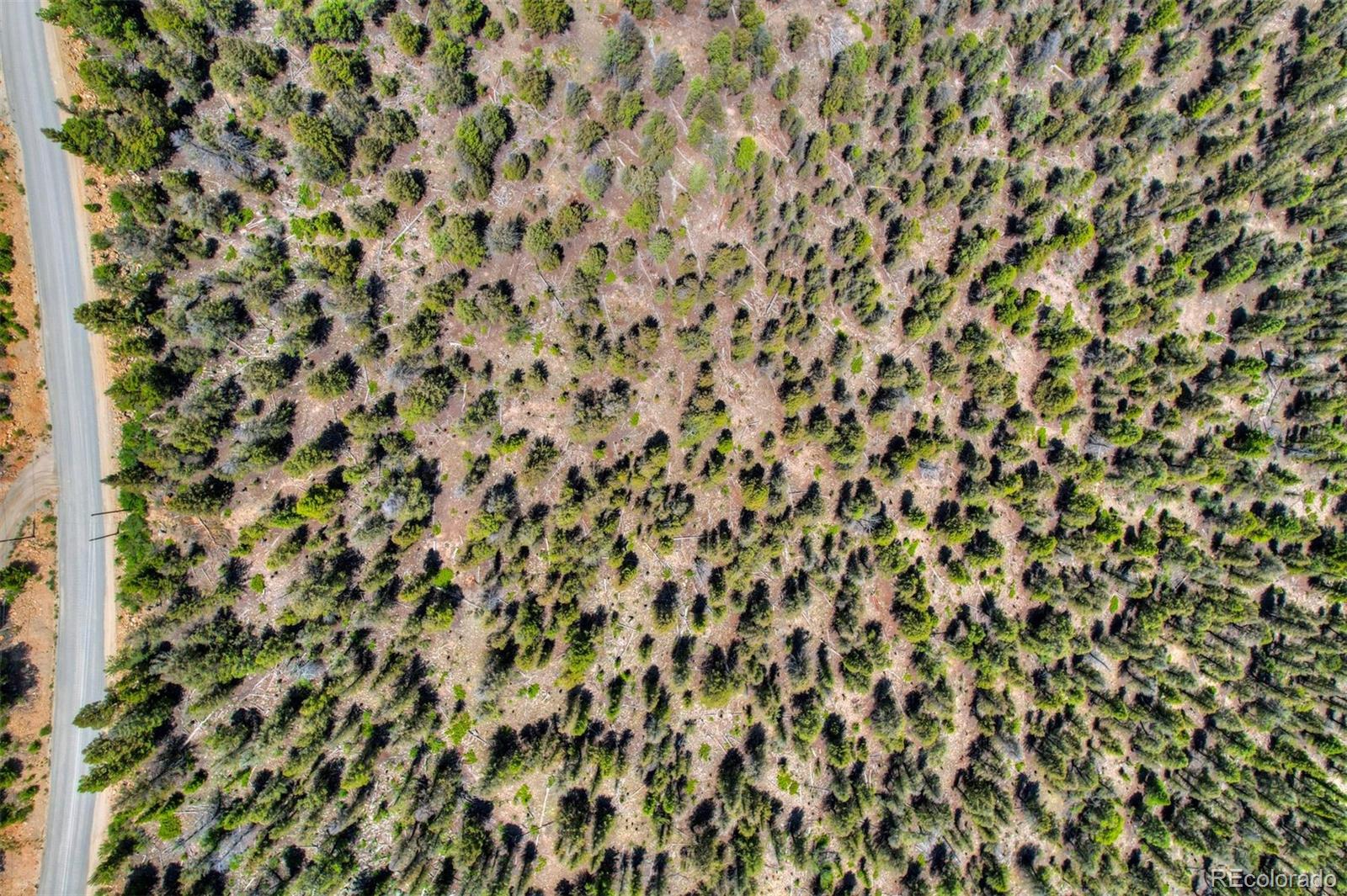 Lot 262 Middle Fork Vista Fairplay CO 80440