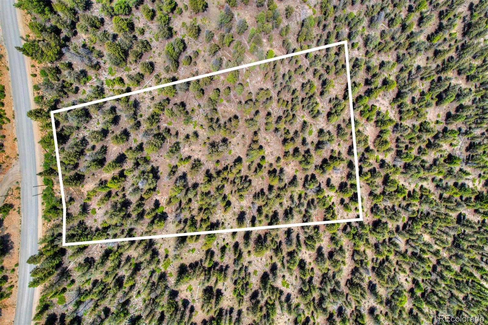 Lot 262 Middle Fork Vista Fairplay CO 80440