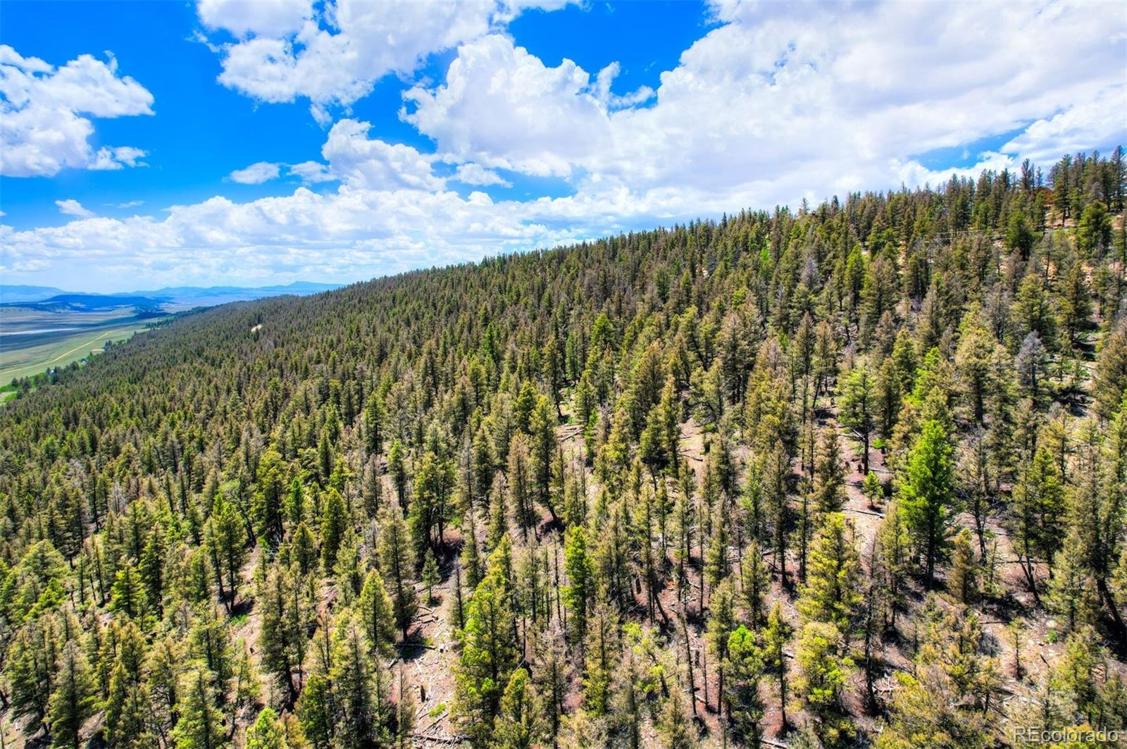 Lot 262 Middle Fork Vista Fairplay CO 80440