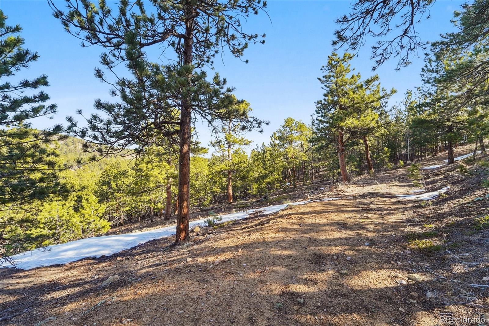 854 Crescent Lake Road Golden CO 80403