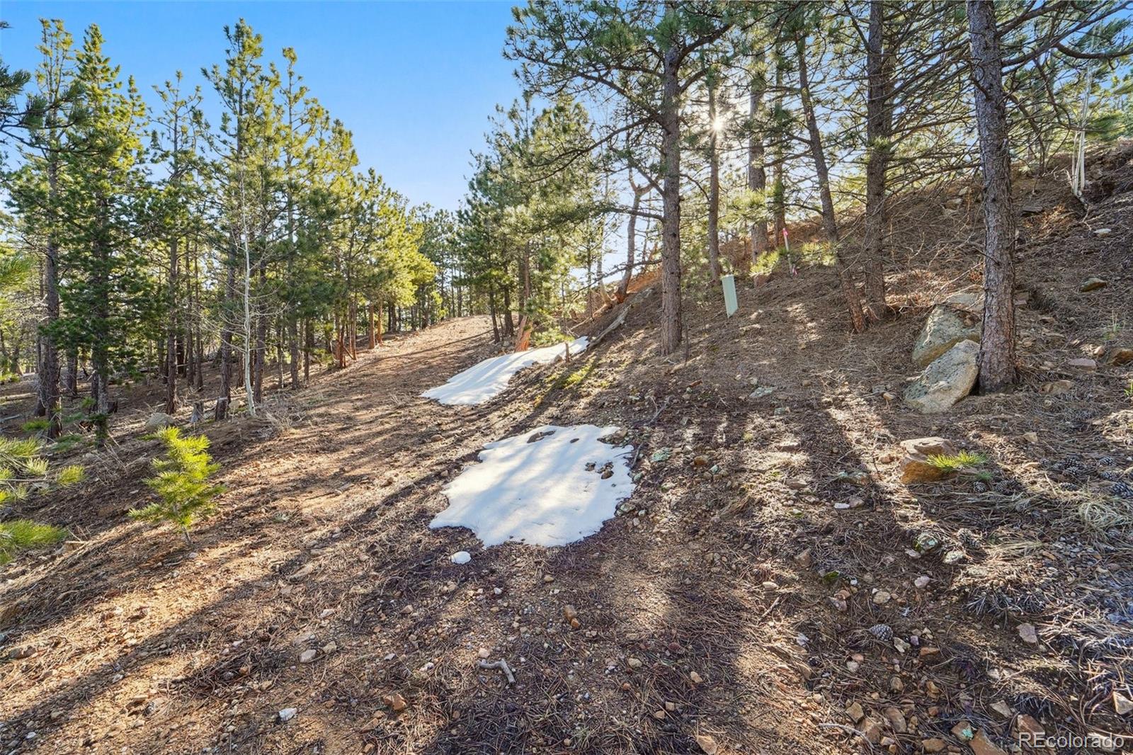 854 Crescent Lake Road Golden CO 80403