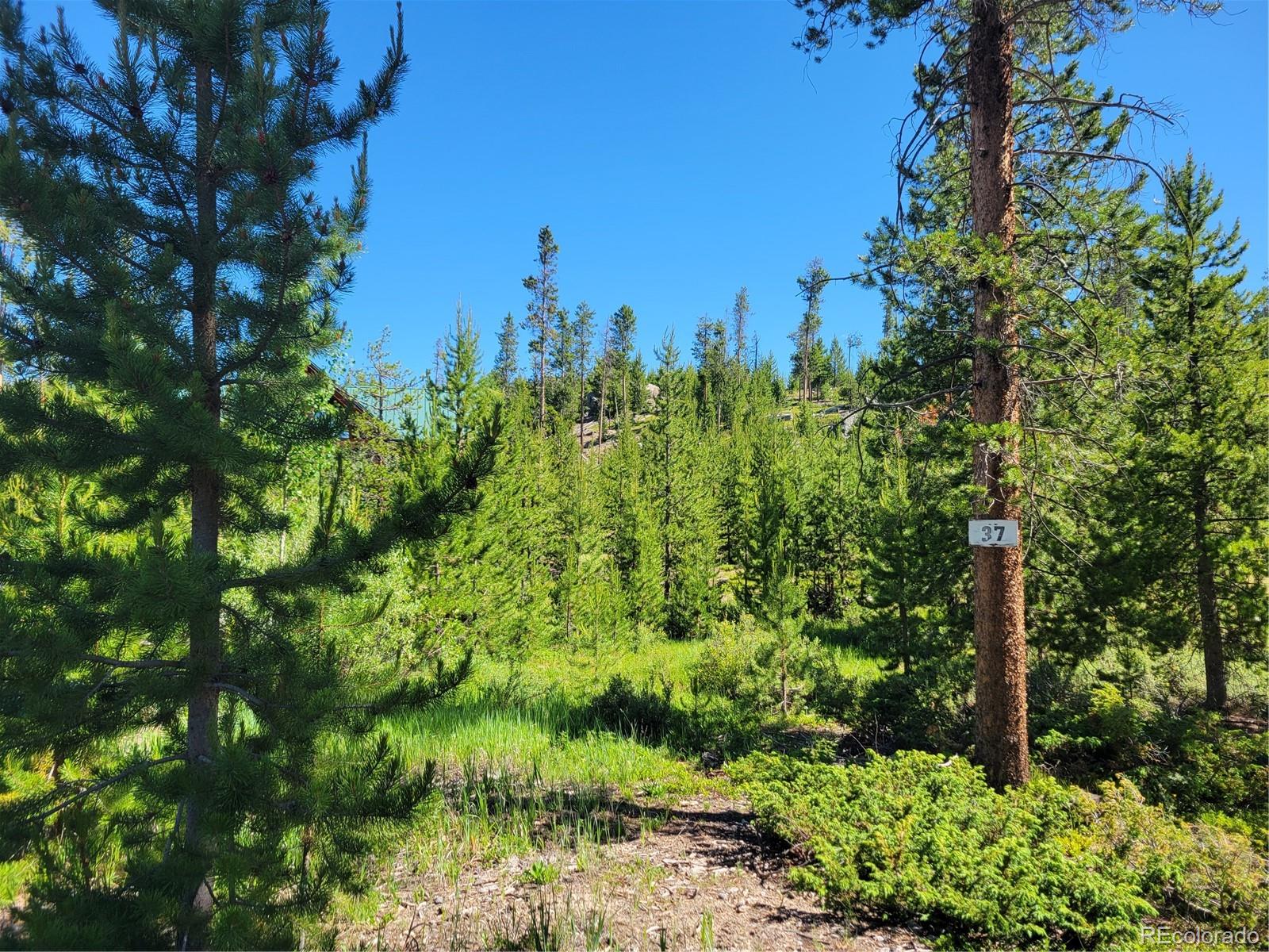 51 GCR 6621 Grand Lake CO 80447