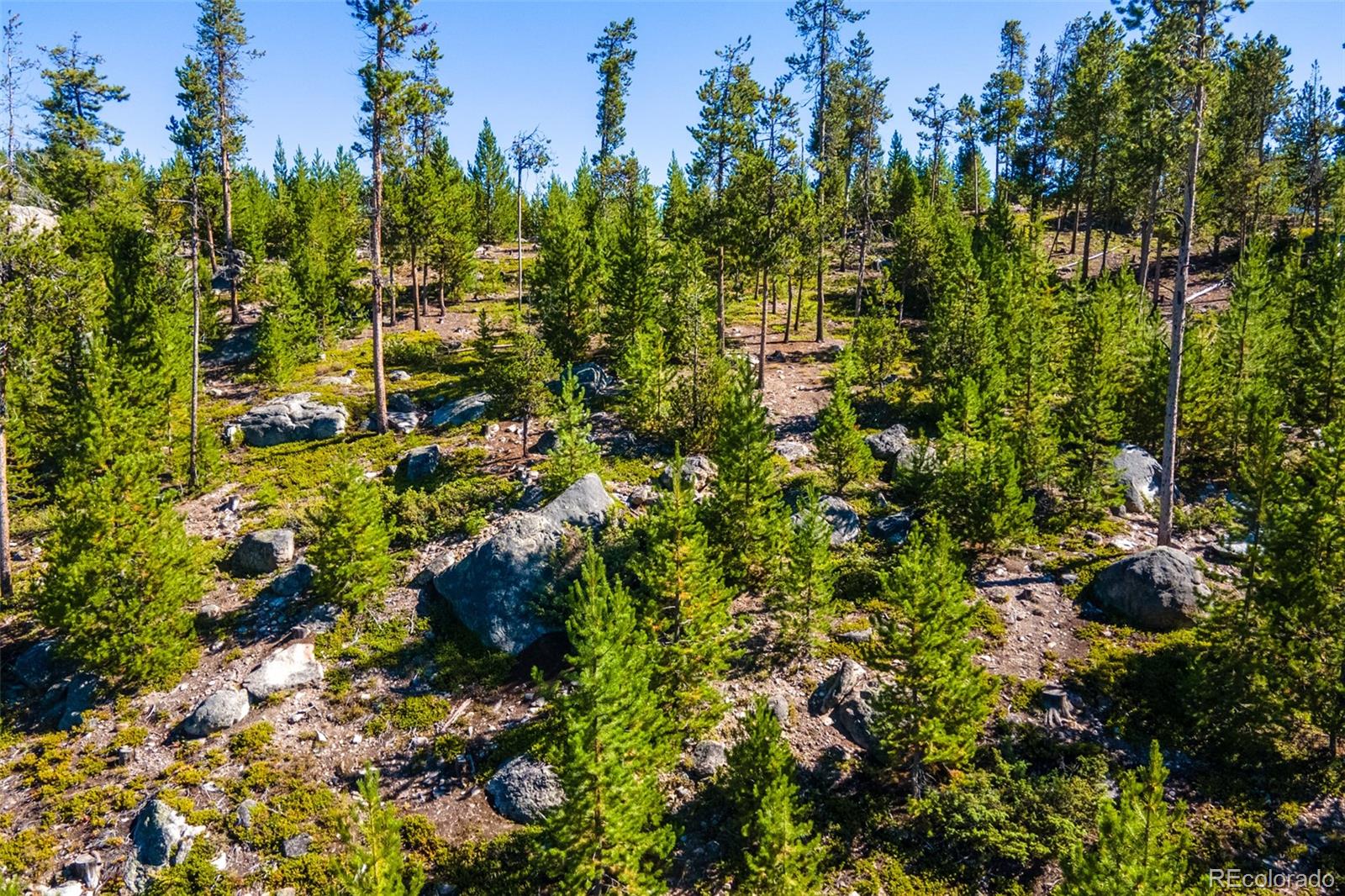 51 GCR 6621 Grand Lake CO 80447