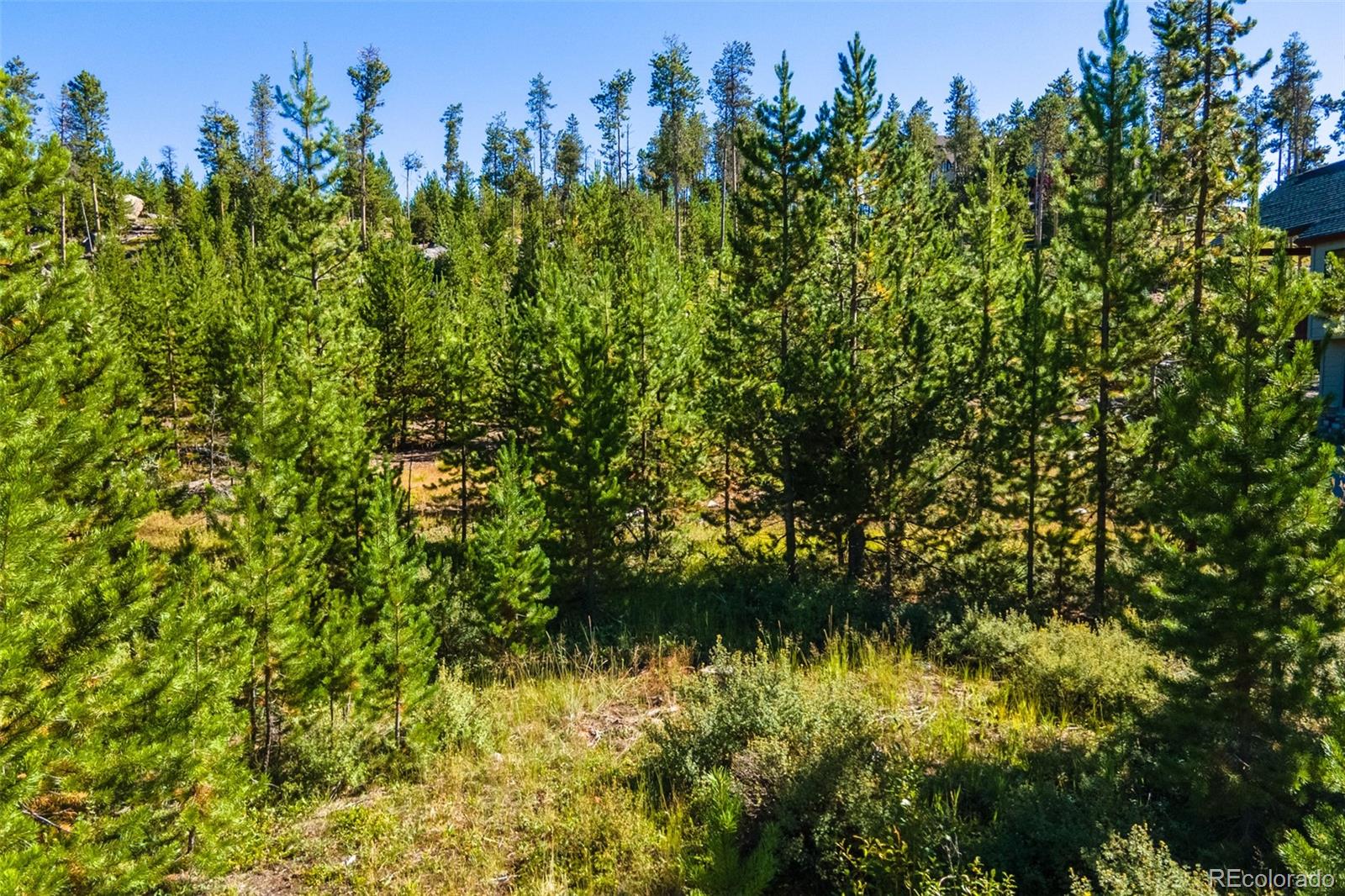 51 GCR 6621 Grand Lake CO 80447