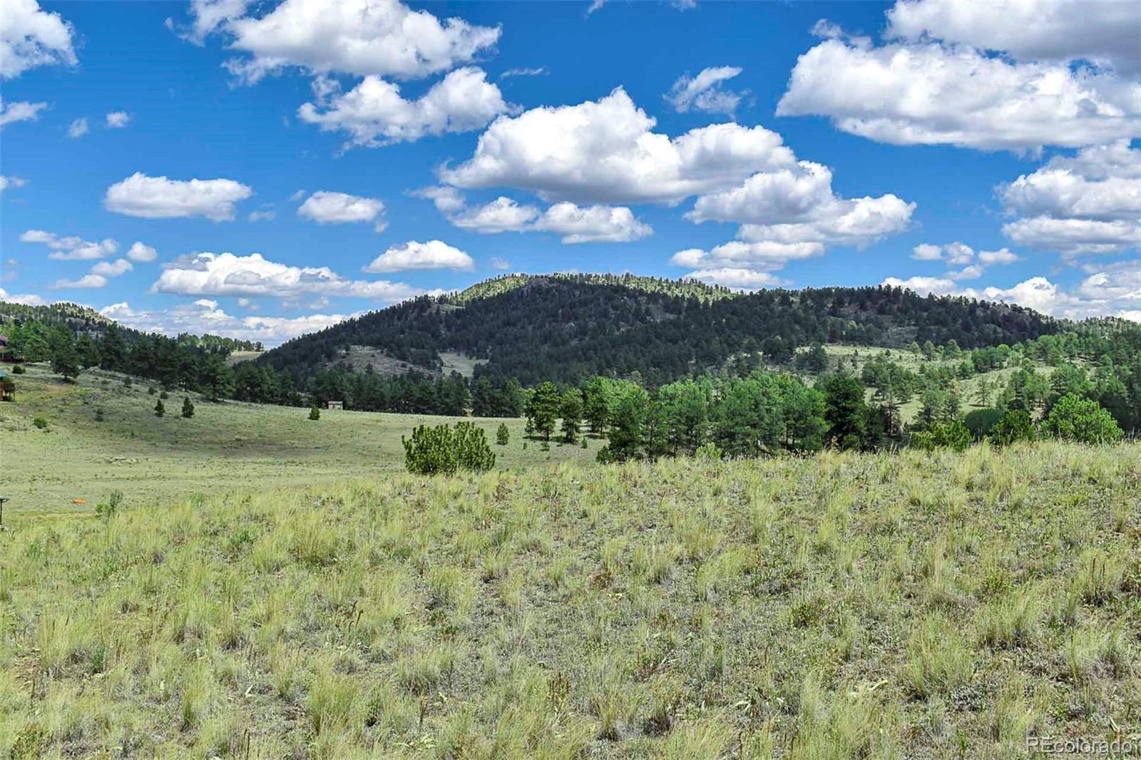 4680 County Road 71 Guffey CO 80820