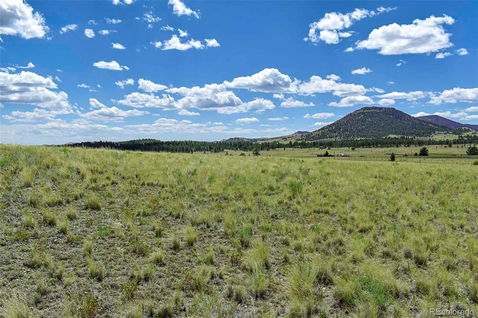 4680 County Road 71 Guffey CO 80820