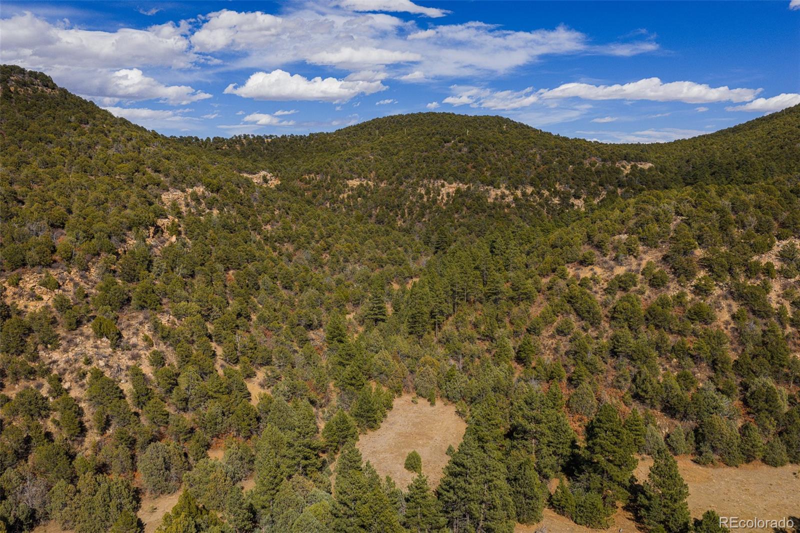 84 North Mountain Walsenburg CO 81089