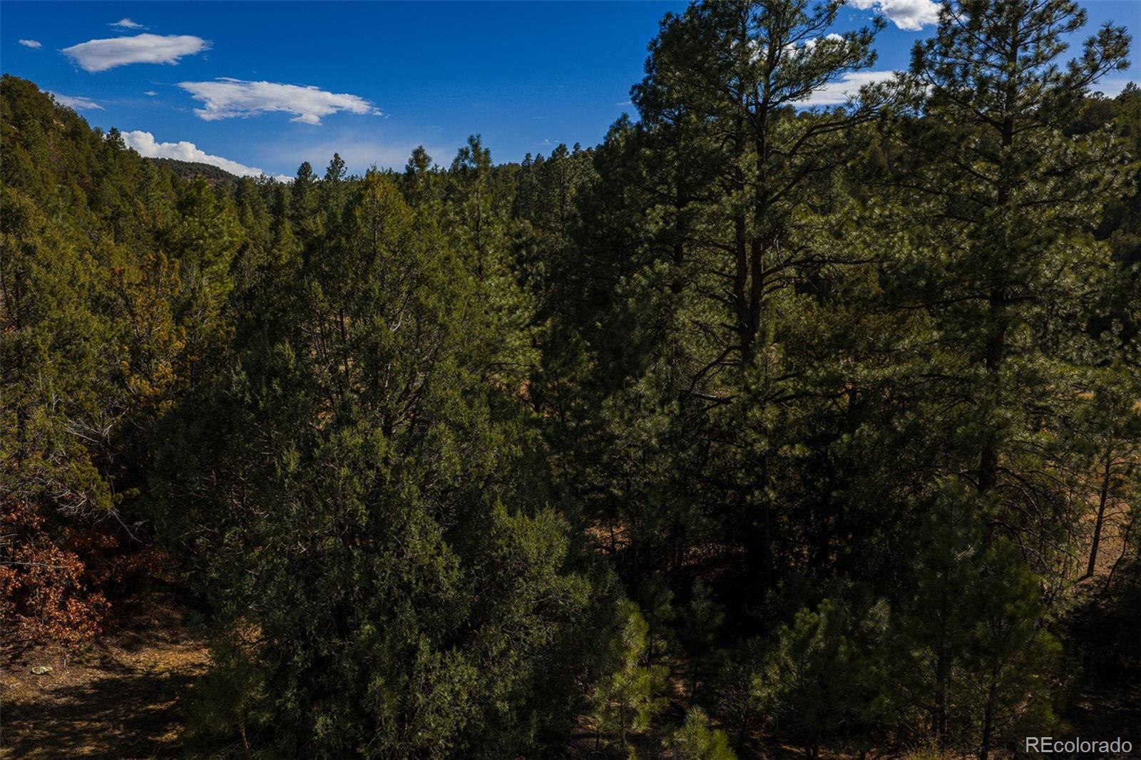 84 North Mountain Walsenburg CO 81089
