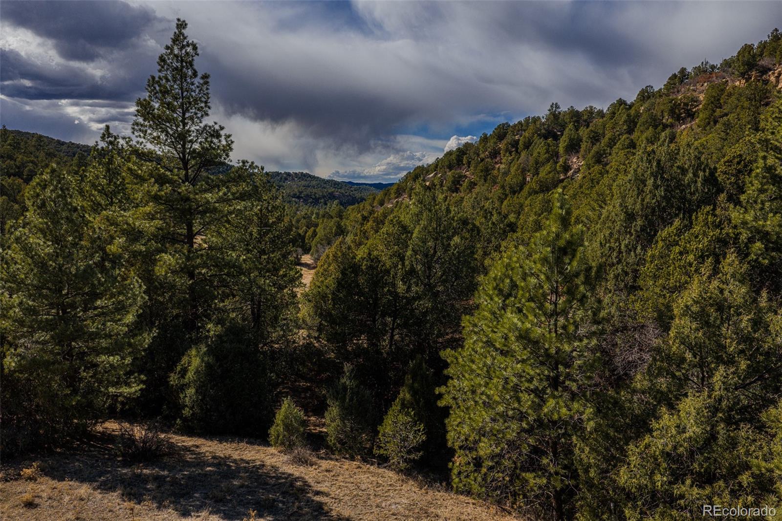 84 North Mountain Walsenburg CO 81089
