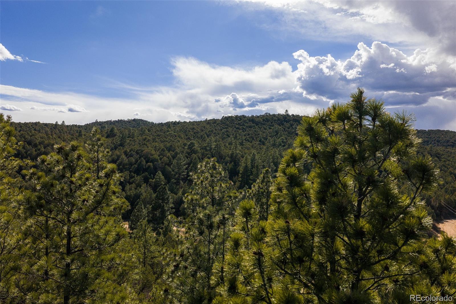 84 North Mountain Walsenburg CO 81089