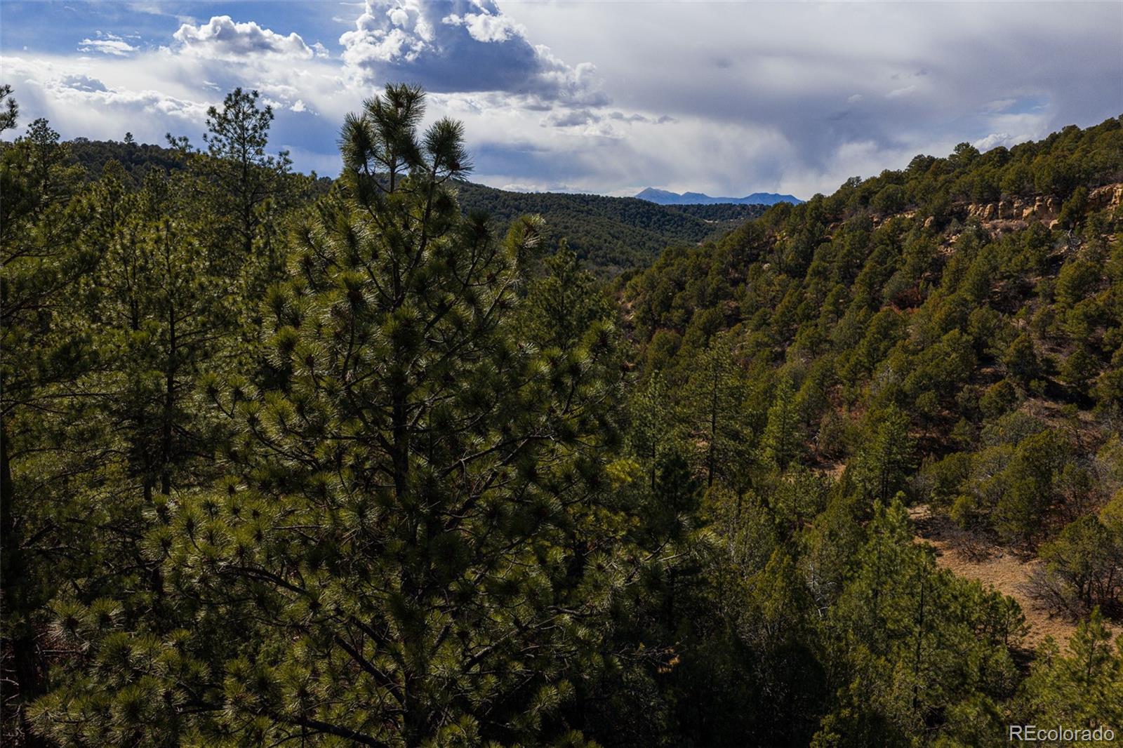 84 North Mountain Walsenburg CO 81089