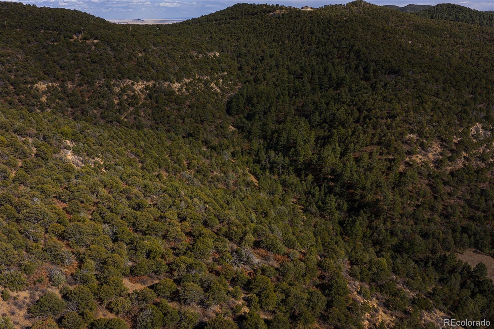 84 North Mountain Walsenburg CO 81089