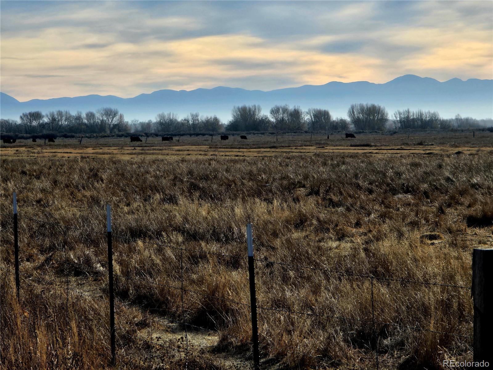 000 S 106 Road Alamosa CO 81101
