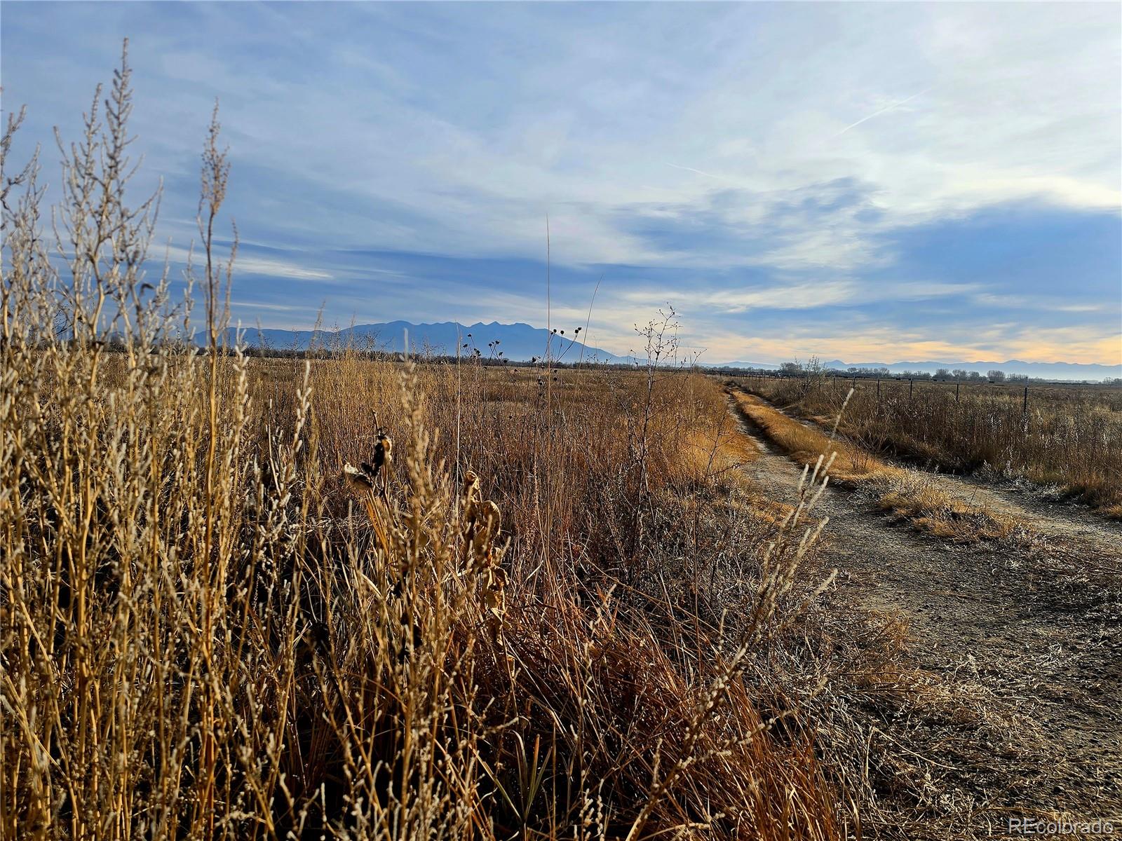 000 S 106 Road Alamosa CO 81101