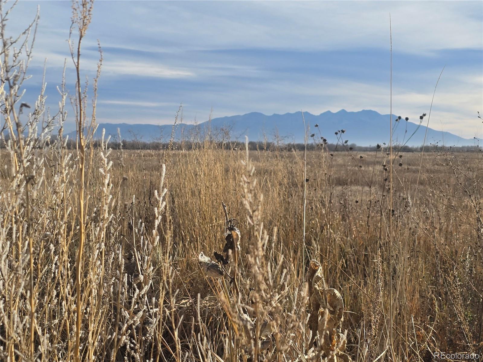 000 S 106 Road Alamosa CO 81101