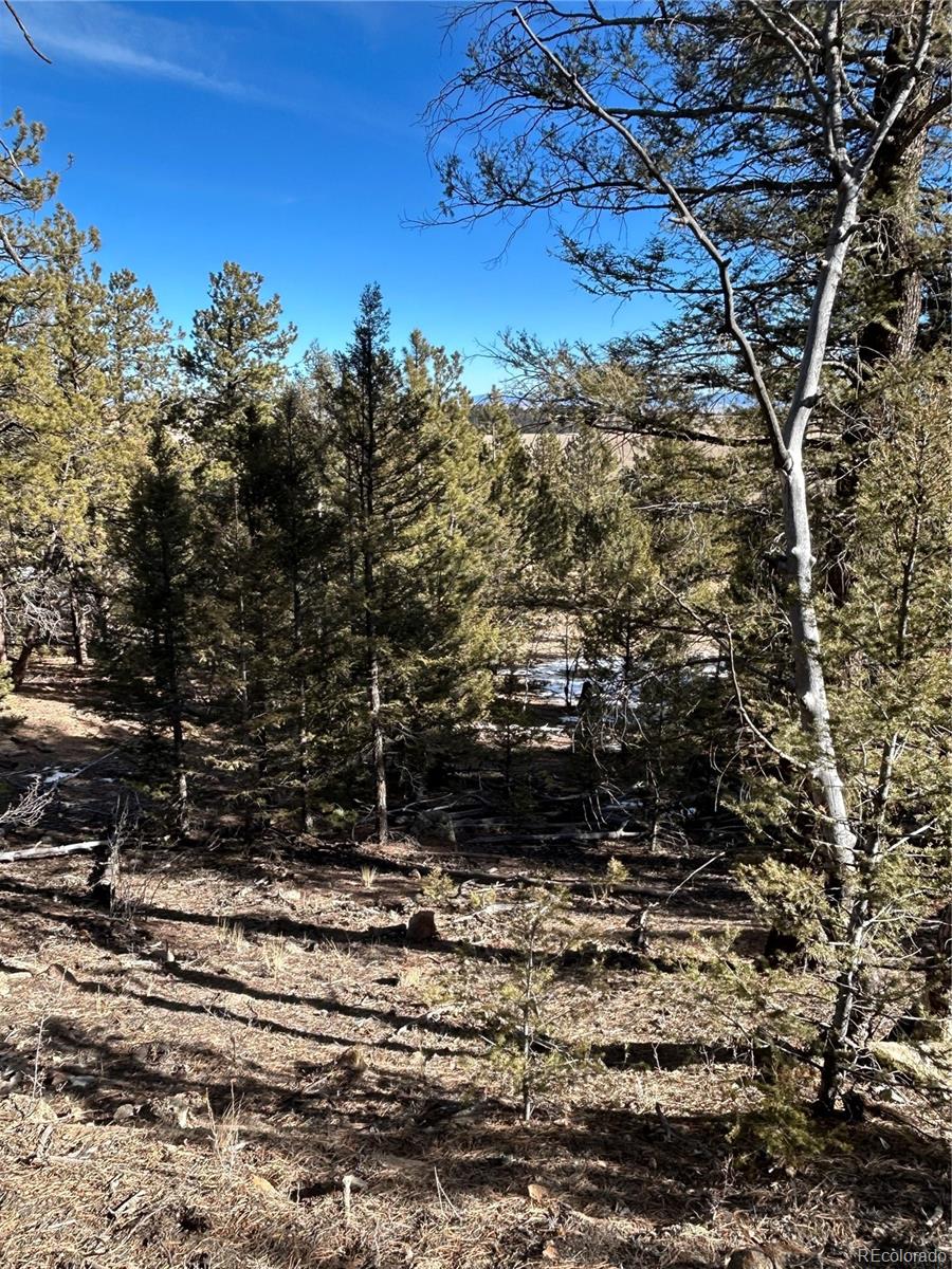4376 Campfire Road Hartsel CO 80449