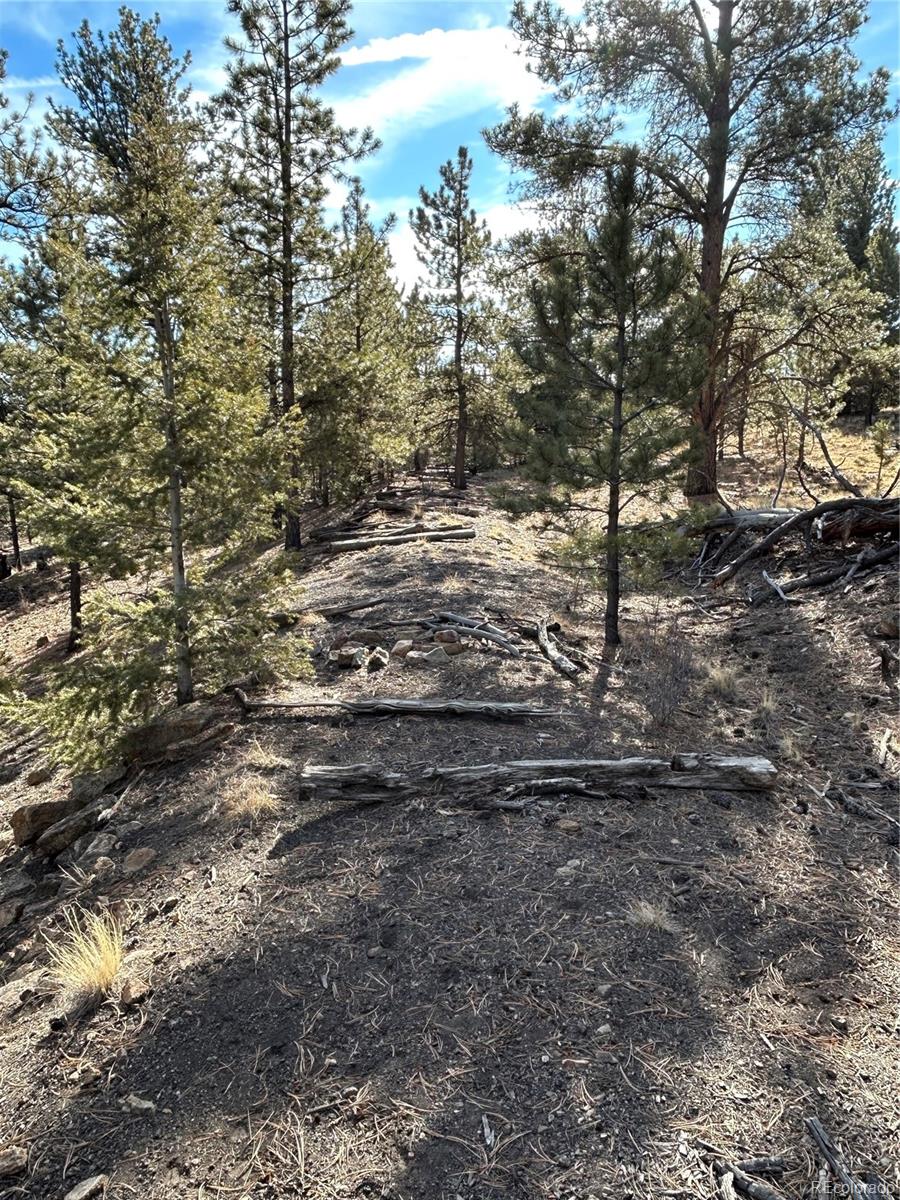 4376 Campfire Road Hartsel CO 80449
