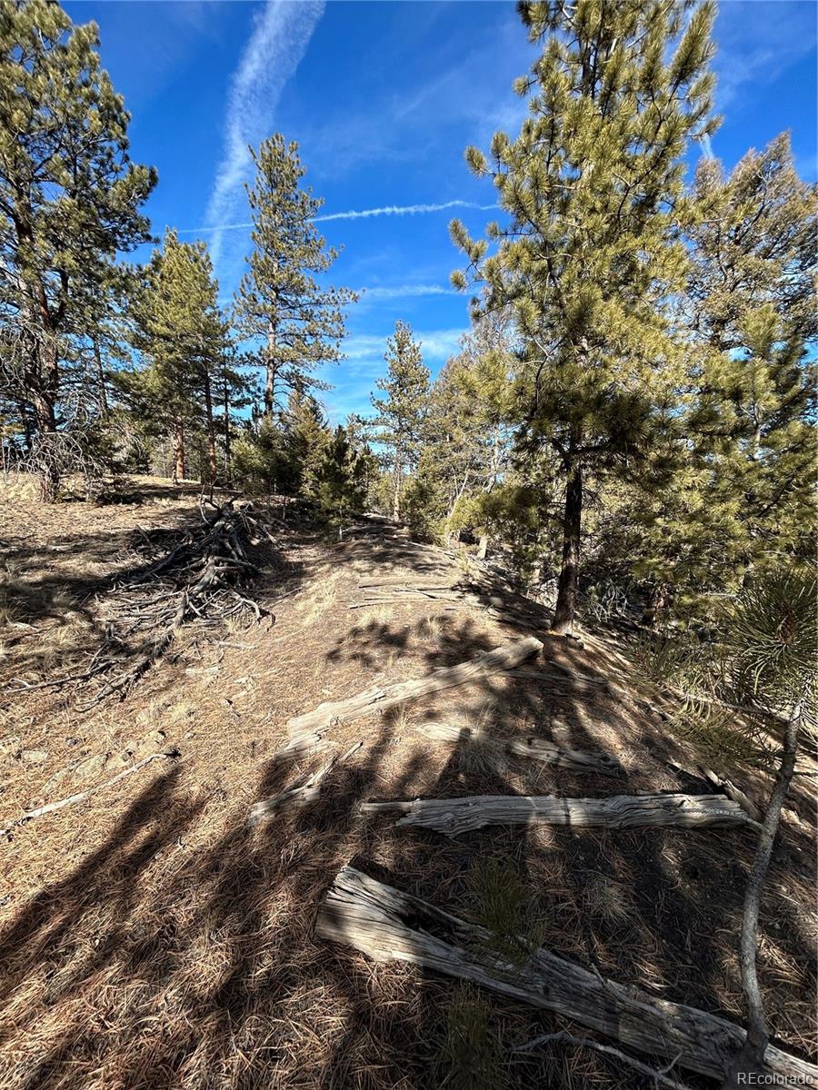 4376 Campfire Road Hartsel CO 80449