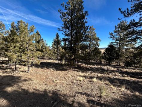 4376 Campfire Road Hartsel CO 80449