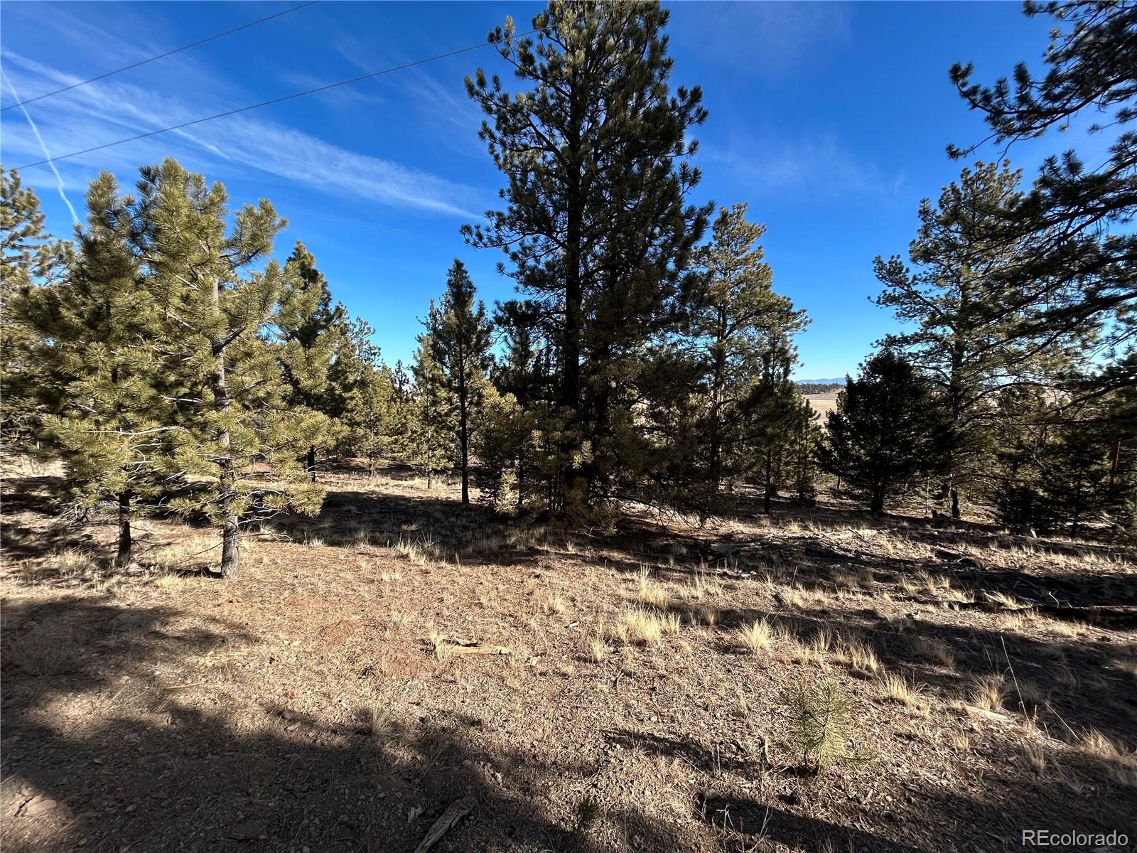4376 Campfire Road Hartsel CO 80449