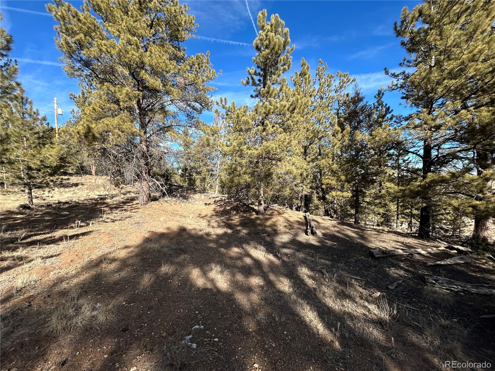 4376 Campfire Road Hartsel CO 80449
