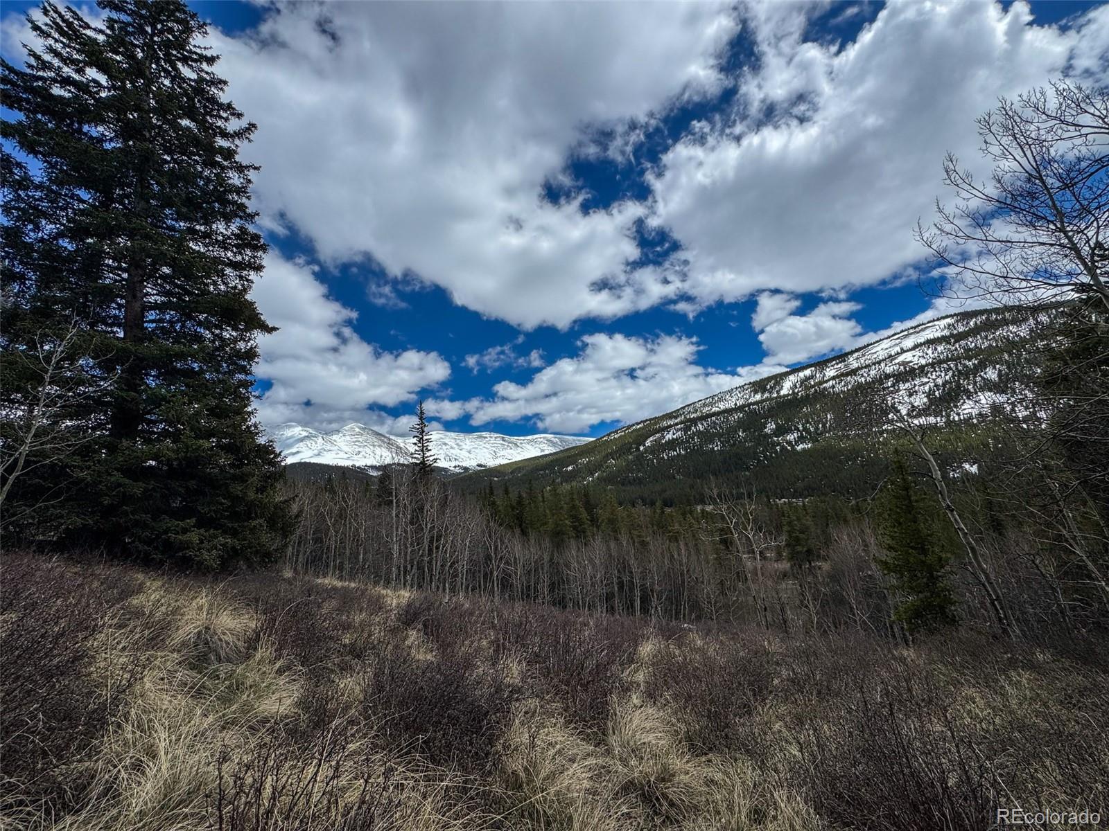 Buckeye Gulch Road Leadville CO 80461