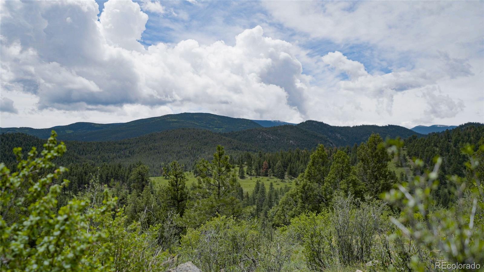 Upper Bear Creek Road Evergreen CO 80439