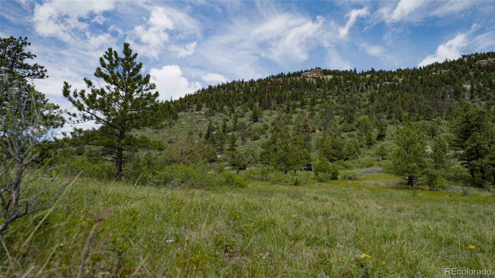 Upper Bear Creek Road Evergreen CO 80439