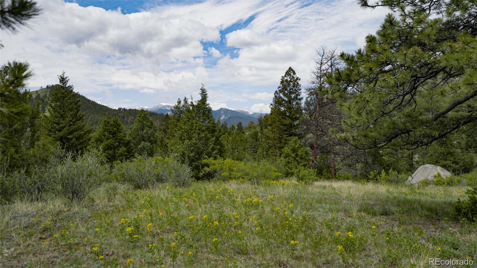 Upper Bear Creek Road Evergreen CO 80439